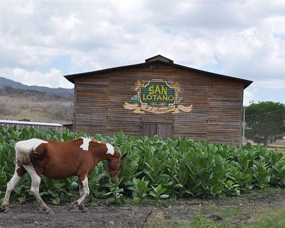 San Lotano Factory